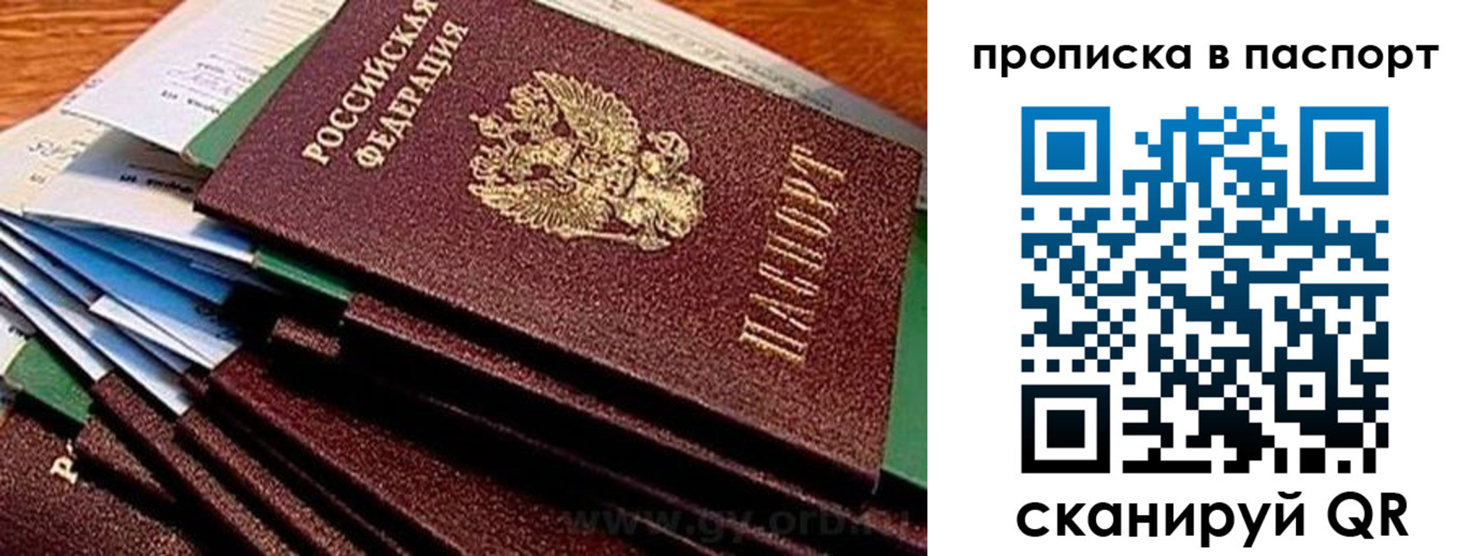 прописка штамп в Биробиджане